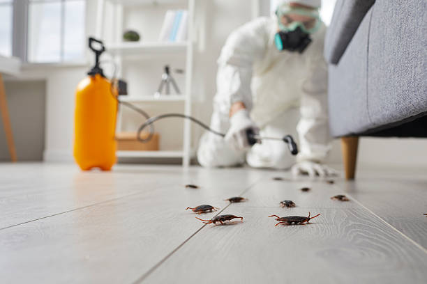 Trusted Cockroach Control service in Tacoma, WA - Nex Pest Control