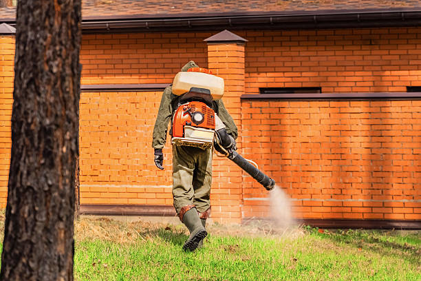 Trusted Ant Control service in Tacoma, WA - Nex Pest Control